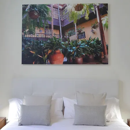 Hotel Nava 4*
